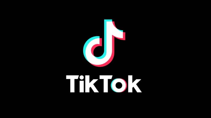 picture showing TikTok logo