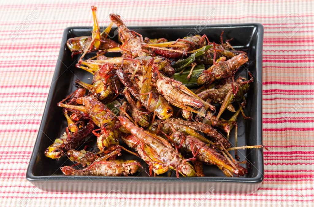 Northern Nigerian Fara Fried Grasshopper