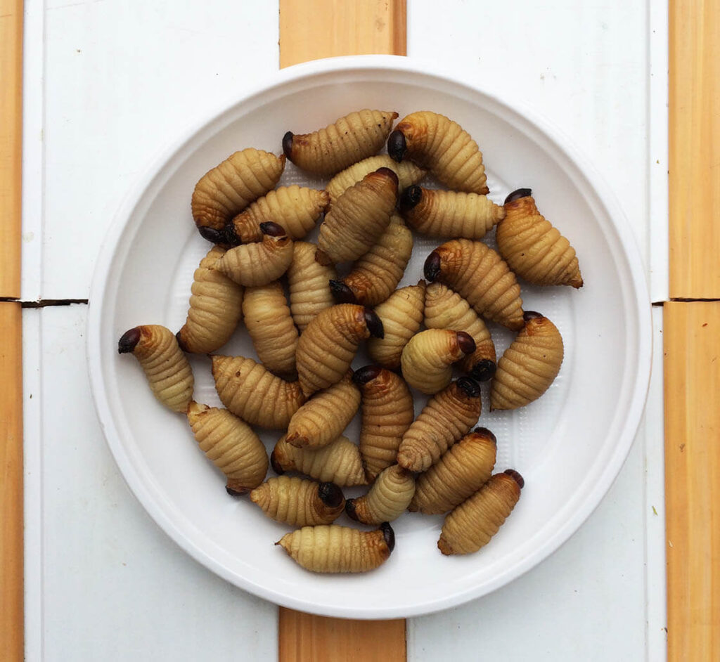 Edible Worms as protein source for meats