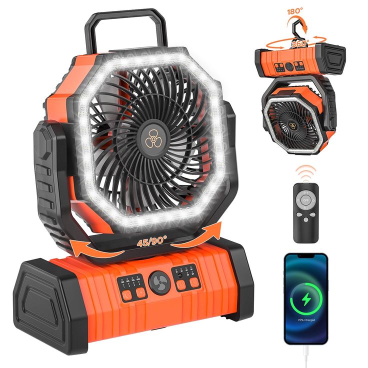Rechargeable light and fan