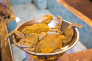 Nigerians eating Frog meats as protein source